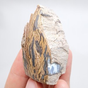 Könnte beinhalten: Ein Stück versteinertes Holz mit einer rauen, strukturierten Oberfläche und braunen sowie beigen Maserungen. Der Stein weist an einer Seite einen markanten, glatten, hellblauen Mineraleinschluss auf, der einen Kontrast zur erdigen, verwitterten Außenseite bildet.