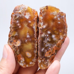 Flower Agate Pair, Translucent Amber Anatolian Nodule, Blossom Chalcedony