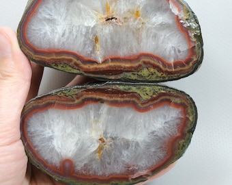 Large Brick Red and Olive Green Banded Black Sea Agate Pair