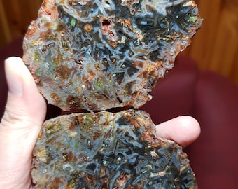 Puede incluir: Dos piezas de piedra de ágata pulida, que muestran intrincados patrones en tonos marrones, negros, azules y verdes. La piedra natural tiene un acabado brillante, que revela formaciones minerales únicas. Las formas irregulares resaltan la belleza en bruto de la gema.
