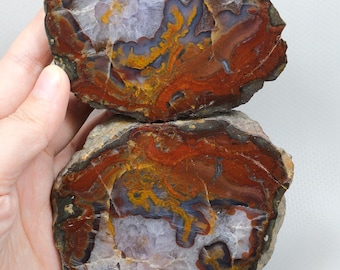 Mustard Yellow and Red Embroidered Large Black Sea Agate with Amethyst Geode