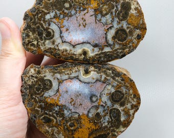 Black Sea Banded Agate, Golden Ochre Orbicular Agate & Translucent Lavender Core