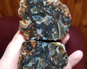 Puede incluir: Dos piezas de madera petrificada pulida, que muestran intrincados patrones en tonos marrones, negros y azules. La piedra natural tiene un exterior rugoso y texturizado y un interior pulido, que revela la veta y los depósitos minerales únicos de la madera.