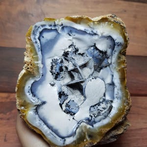 May include: A cross-section of a polished stone, showcasing a natural pattern. The stone features a white and blue interior with black inclusions, framed by a tan and brown outer layer. The stone is held in a hand.