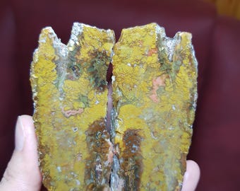 May include: Two halves of a polished stone, held in a hand. The stone displays a mix of yellow, brown, and green hues with a textured surface. The edges are rough and uneven, revealing the natural formation of the stone.