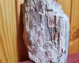 Super Rare! Petrified Wood with Druzy Amethyst, Turkey Sourced, Opalized Petrified Wood, Magnificent Petrified Wood