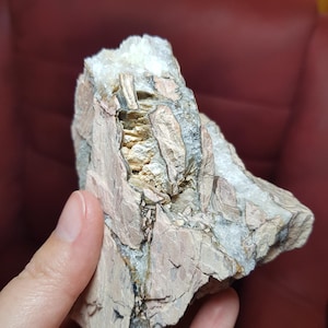 May include: A rough, irregularly shaped rock with a mix of colors. The rock has a light pinkish-brown hue with layers of tan and gray. White crystalline formations are visible on the top. The rock is held by a hand.