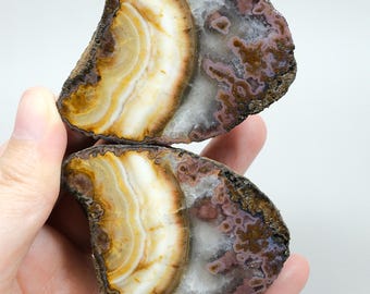 Yellow, Ochre, and Purple Banded Black Sea Agate