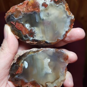 Puede incluir: Dos rebanadas de ágata con bandas marrones, rojas y blancas. El ágata es translúcida y muestra una variedad de patrones.