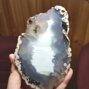 May include: A slice of agate with a white center and gray, brown, and black banding. The agate is translucent and has a smooth, polished surface.