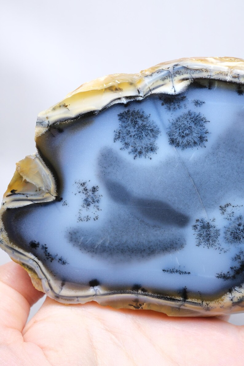 Indigo Blue Merlinite (dendritic Opal) – Polished Single | Insight ...
