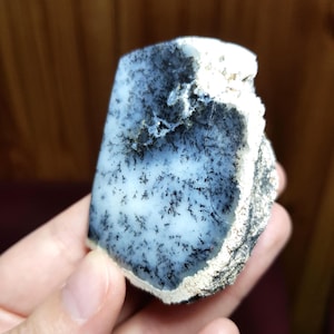 Mystical Split: Dendritic Opal - Dendritic Agate - Merlinite Marvels! Free Form