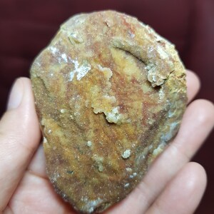 May include: A naturally shaped, rough-textured rock with a mix of brown, tan, and white hues. The rock has a slightly irregular shape and appears to be a geological specimen. The surface shows variations in color and texture.