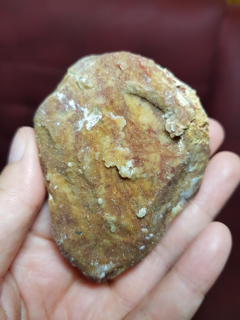 May include: A naturally shaped, rough-textured rock with a mix of brown, tan, and white hues. The rock has a slightly irregular shape and appears to be a geological specimen. The surface shows variations in color and texture.