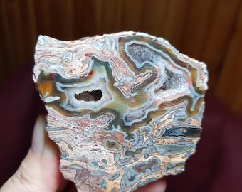 Petrified Wood with Druzy Geode and Colorful Bands, Turkey Sourced, Opalized Petrified Wood, Collectable Agatized Wood