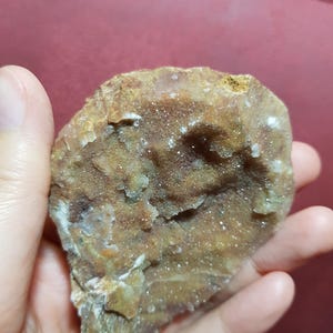 May include: A rough, irregularly shaped rock formation with a mix of brown, tan, and white crystalline structures. The surface has a textured, granular appearance, with small sparkling crystals scattered throughout. The rock is held in a hand against a red background.