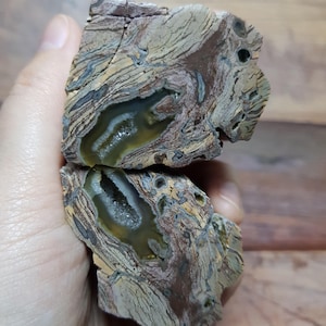 Opalized Petrified Wood Pair: Amber Banded Agatized Wood with Geode - Turkey Sourced