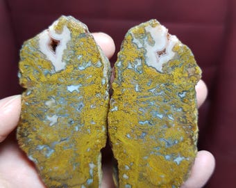 May include: Two halves of a polished agate stone, displaying a natural pattern of yellow, brown, and white hues. The stone's surface has a textured appearance with small, crystalline inclusions. The cut reveals a unique, organic design.