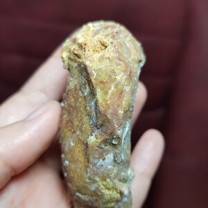 May include: A close-up of a weathered, oblong rock with a rough texture. The rock displays a mix of tan, brown, and white colors, with visible mineral deposits. The object is held in a hand.