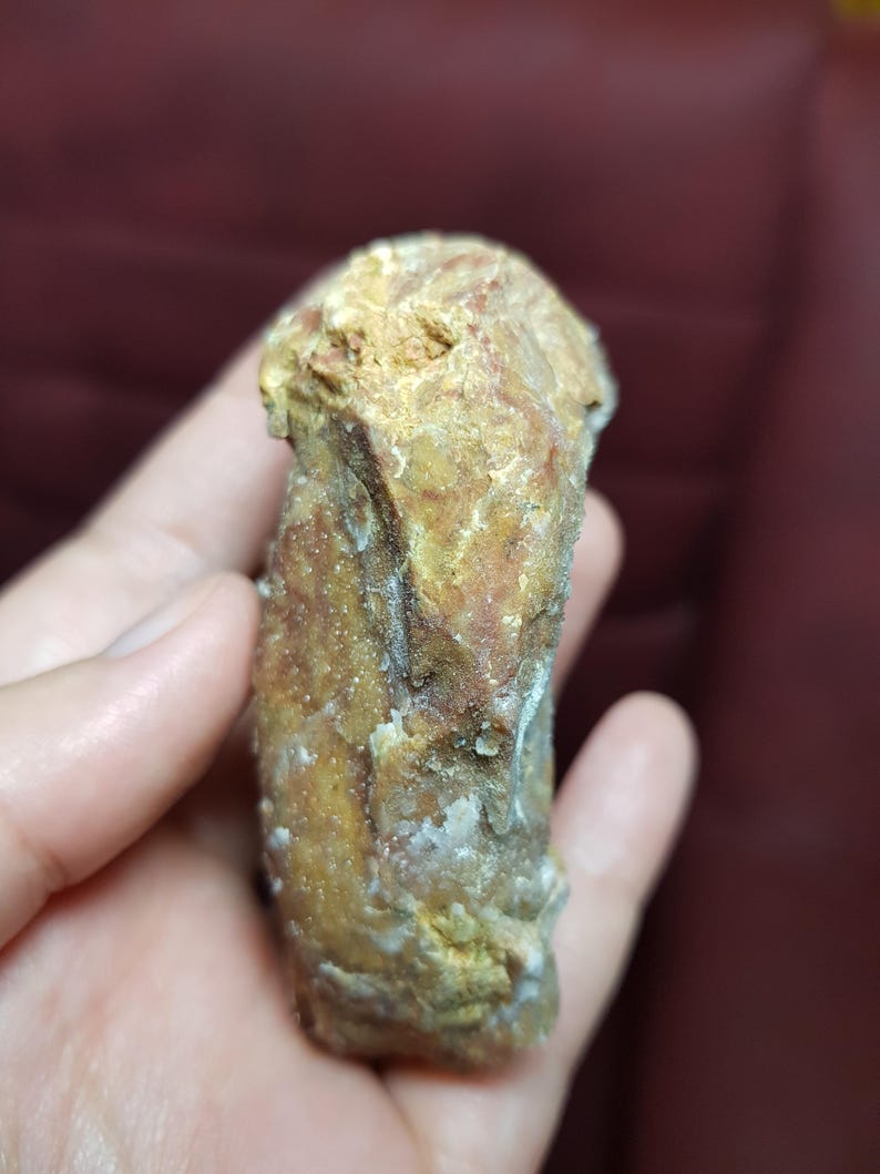 May include: A close-up of a weathered, oblong rock with a rough texture. The rock displays a mix of tan, brown, and white colors, with visible mineral deposits. The object is held in a hand.