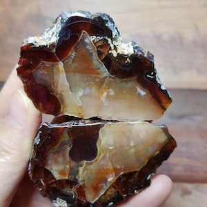 May include: Two pieces of a polished, raw gemstone. The stone has a dark brown outer layer with a lighter brown and cream-colored interior. The edges are rough and uneven, revealing the natural texture of the stone.
