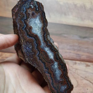 May include: A raw agate stone, polished to reveal a pattern of brown, red, blue, and white bands. The stone is held in a hand, displaying its natural colours and geological formations. The centre of the agate features a crystalline cavity.