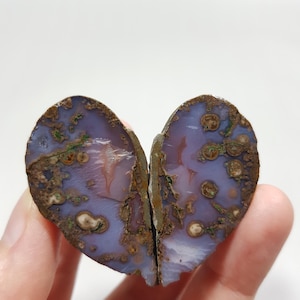 Violet & Bronze Plume Black Sea Agate Pair