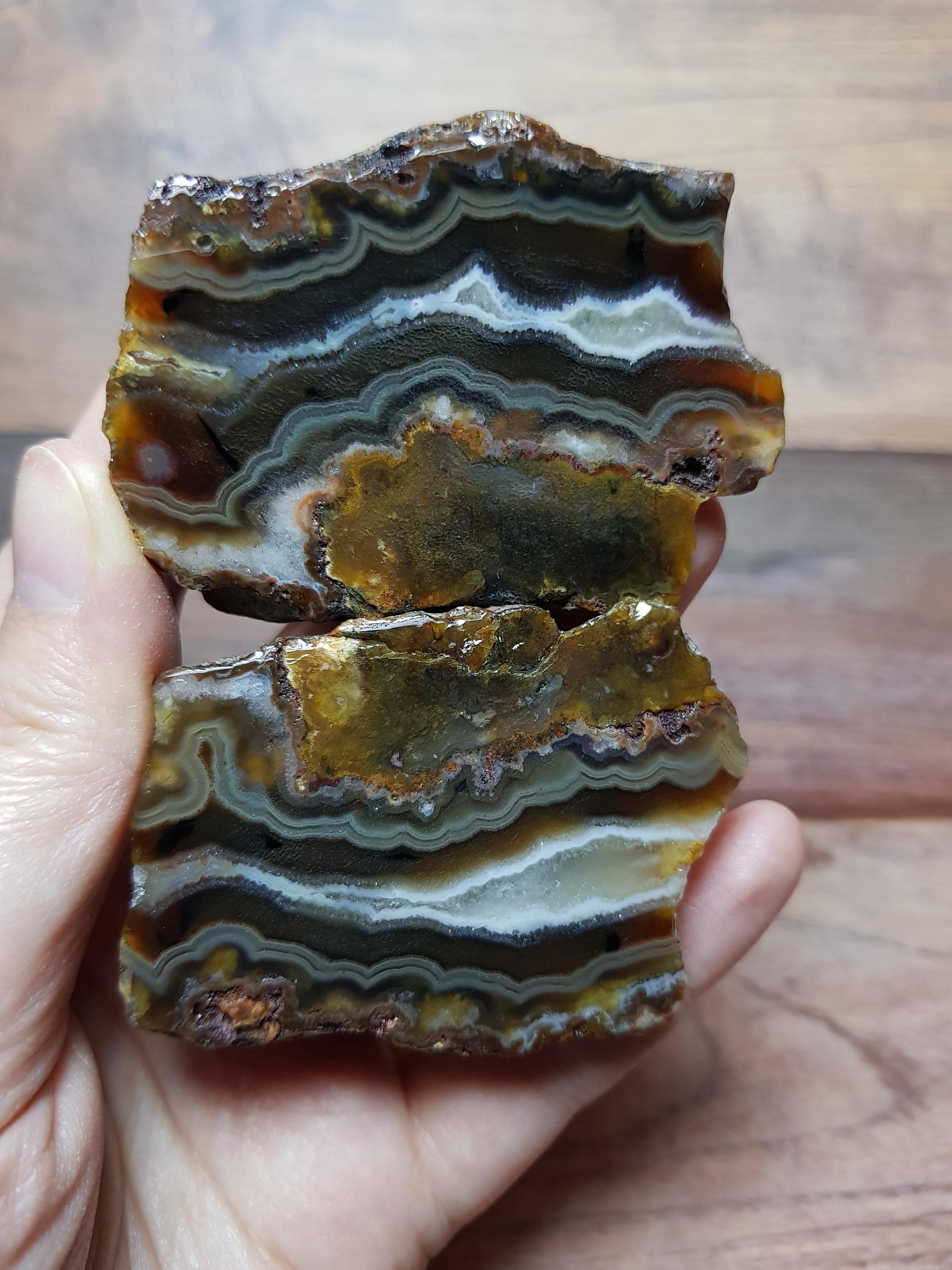 Chocolate Brown & Ochre Banded Agate Pair With White Quartz Vein
