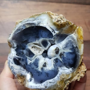 May include: A geode, cut open to reveal a blue, white, and black patterned interior. The outer shell is a rough, tan colour. The geode is held in a hand, highlighting the contrast between the exterior and the polished interior, showcasing its natural beauty.