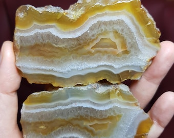 May include: Two polished agate slices, displaying concentric bands of colour. The layers transition from white to shades of yellow and brown, creating a natural, earthy aesthetic. The rough edges of the stones are visible.