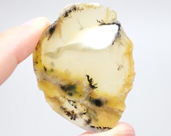 Honey Yellow Merlinite Polished Slice - Golden Dendritic Opal Crystal Specimen