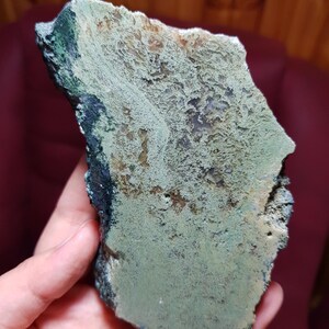Encantadora rebanada de jaspe musgoso verde oscuro: piedra preciosa inspirada en la naturaleza