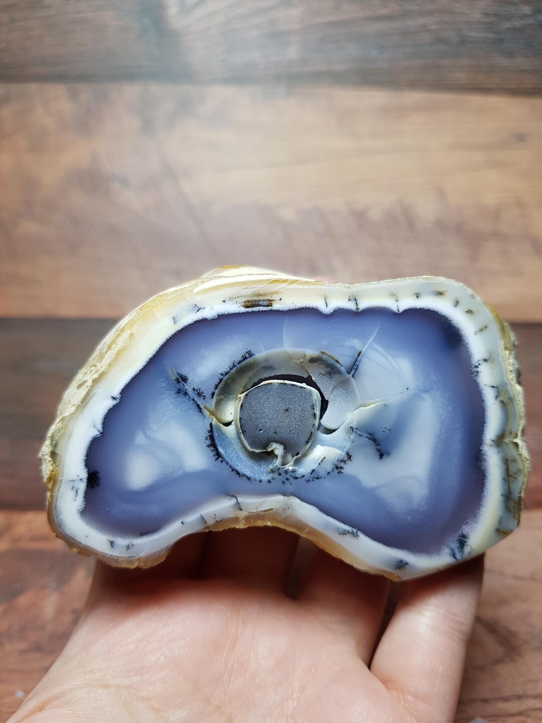 Colorful Dendritic Opal (merlinite) Slice • Polished Both Sides ...