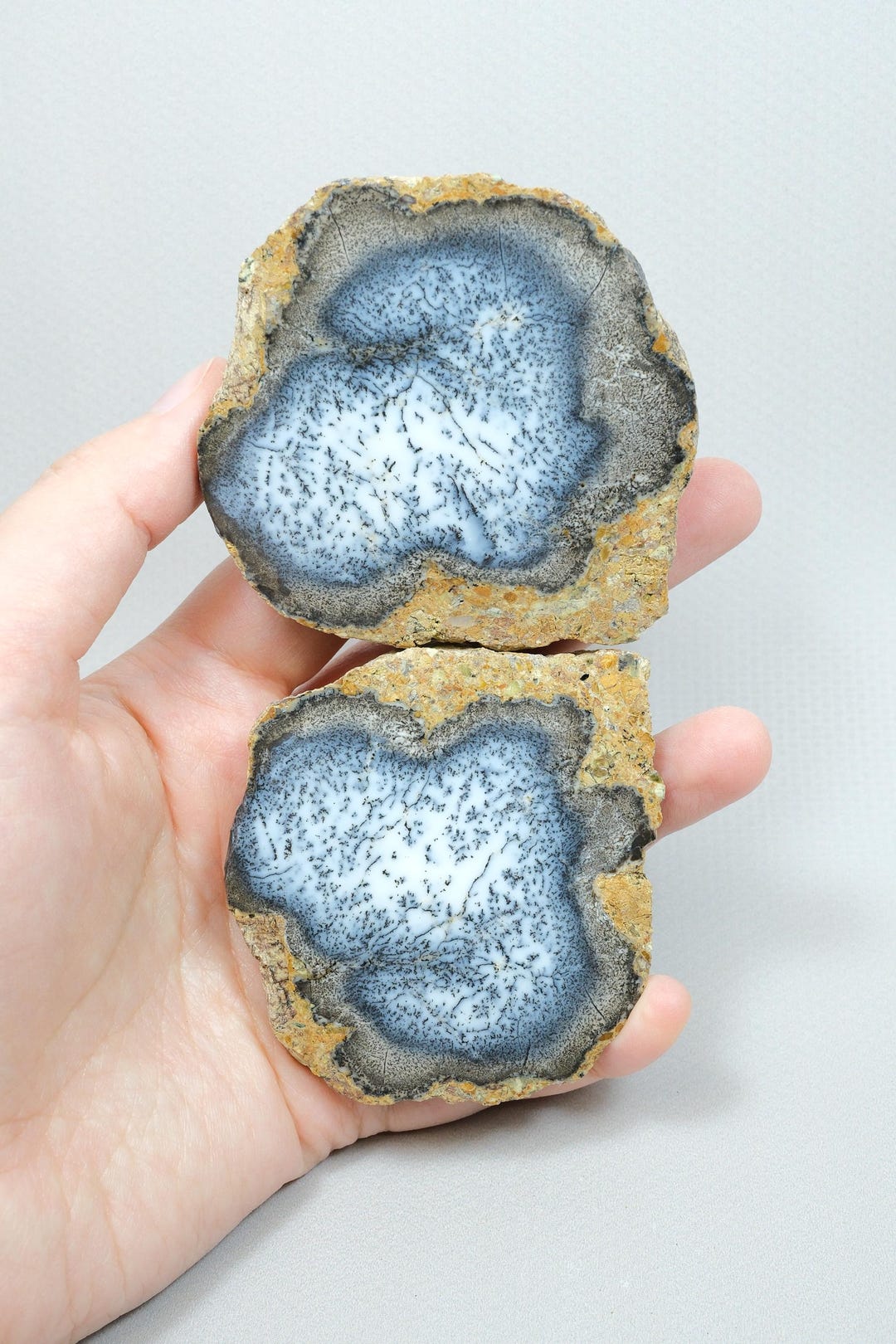 Merlinite (dendritic Opal) – Blue and White Dendrite Opal Pair - Etsy