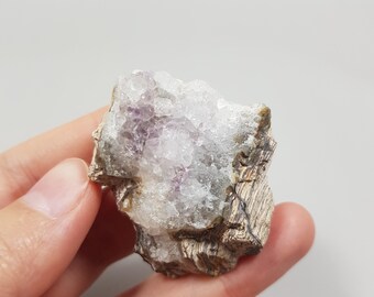 Raw Petrified Wood: Druzy Amethyst, Colorful Bands - Turkey Sourced, Untouched
