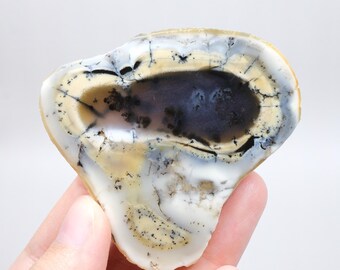 Colorful Merlinite Dendritic Opal Single | Snowy White, Mustard Gold & Deep Charcoal
