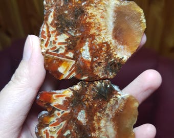 Fiery Stick Agate Crystal: Red-Orange Rods, Grounding Stone
