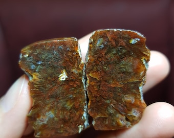 Op de afbeelding: Twee ruw gesneden, amberkleurige edelstenen met ingewikkelde interne patronen worden in een hand gehouden. De stenen hebben een mix van roodbruine en donkerdere tinten, met enkele doorschijnende gebieden. De randen zijn ongelijkmatig en tonen de natuurlijke textuur.