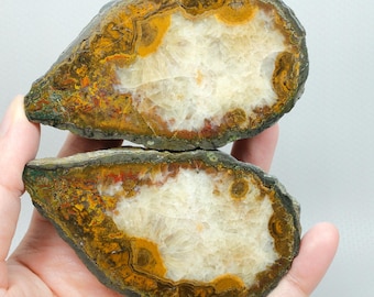 Mustard Yellow and Red Embroidered Chalcedony Black Sea Moss Agate Pair