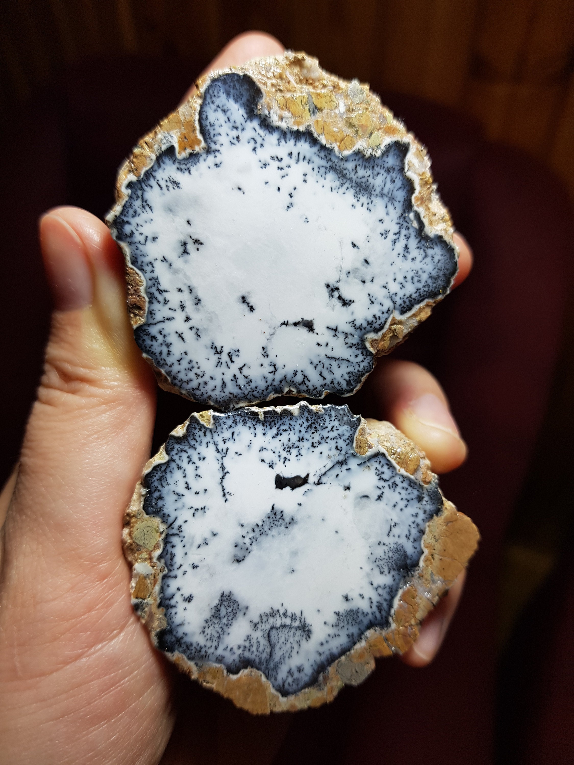 Dendritic Alchemy: Split Opal & Agate - Embrace Merlinite's Magic!