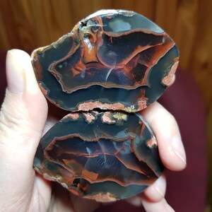 Red fox agate - Etsy 日本
