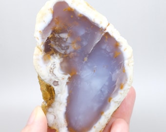 Rare Orange Dendrite Merlinite Polished Half - Light Blue Dendritic Opal