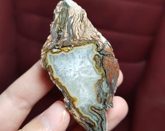 Tranche de bois pétrifié avec bandes colorées | Pierre métaphysique | Dinde d'origine