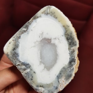 Split Merlinite - Dendritic Opal, Dendrite Agate, White Blue Opal