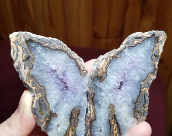 Petrified Wood with Druzy Amethyst and Colorful Bands, Turkey Sourced, Opalized Petrified Wood, Collectable Agatized Wood