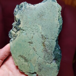 Encantadora rebanada de jaspe musgoso verde oscuro: piedra preciosa inspirada en la naturaleza