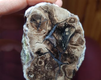 Opalized Petrified Wood Slice, Decoration Polished Collectable, Magnificent Petrified Wood, Agatized Wood, Super Rare!