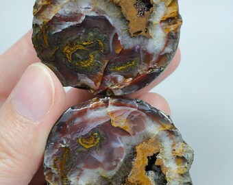 Terracotta Red Banded and Mustard Yellow Embroidered Black Sea Agate Pair
