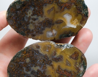 Earthy Bronze Rust and Violet Black Sea Plume Agate Pair