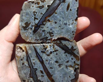 Rare Blue Stick Agate: Cut & Polished Crystal Healing Stone